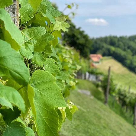 Am Heissberg Fehring