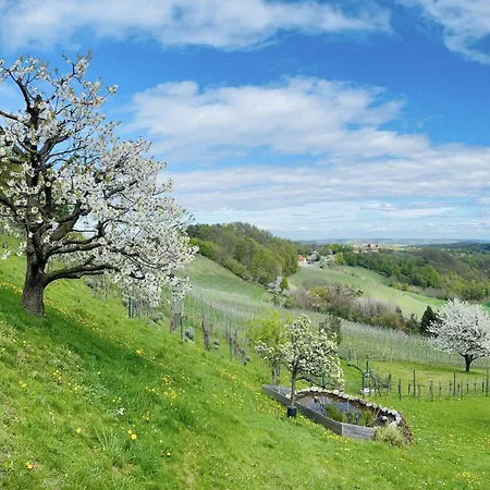 Am Heissberg Apartman