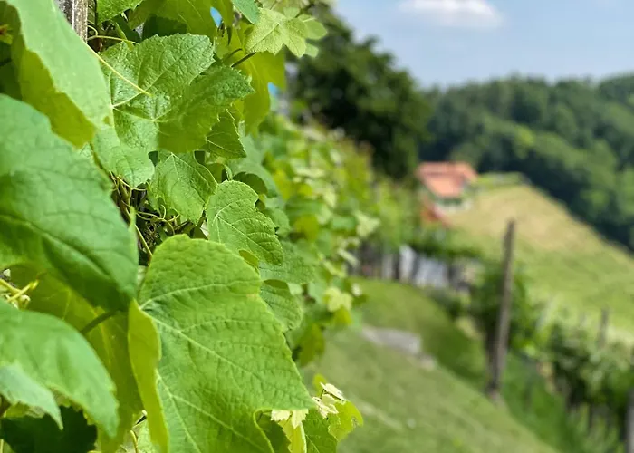 Am Heissberg Fehring