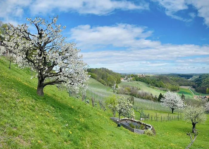 Am Heissberg 아파트